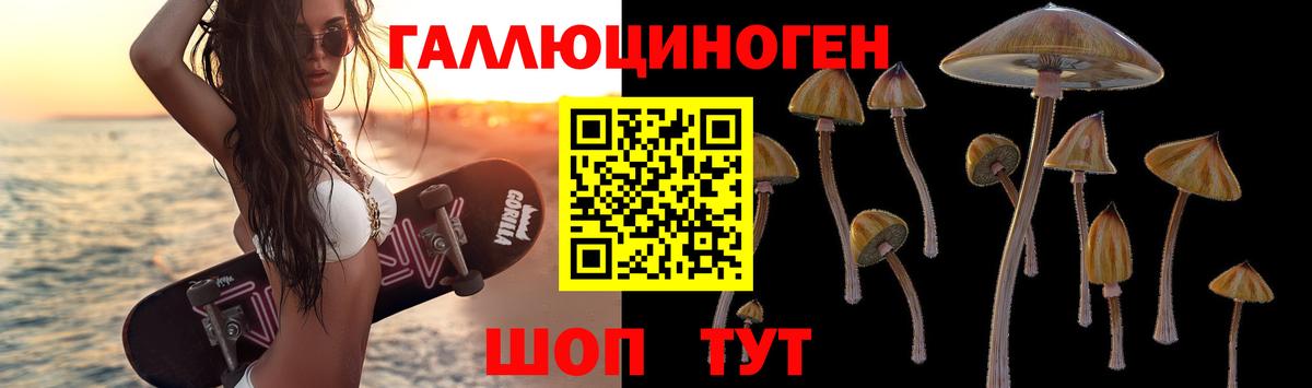 Галлюциногенные грибы GOLDEN TEACHER Дербент
